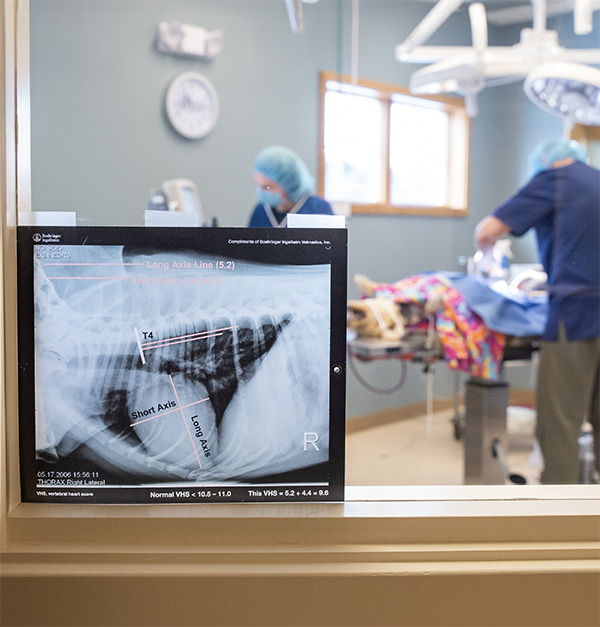 an x-ray leaning up against the window of an operating room